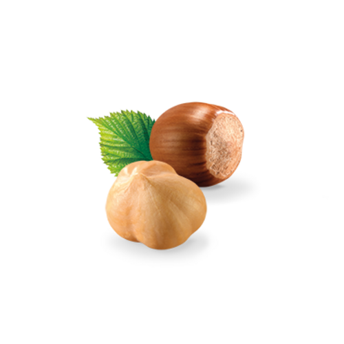 Loacker Patisserie Crème Noisette 100g