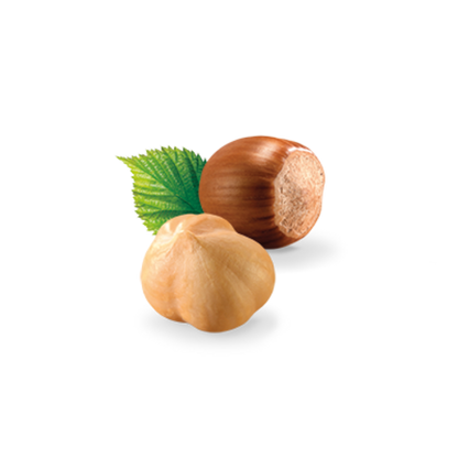 Loacker Patisserie Crème Noisette 100g